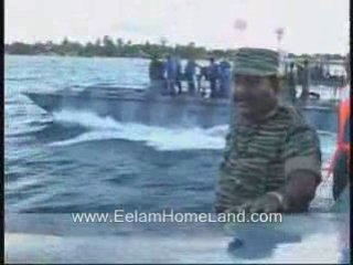 Tamil tigers