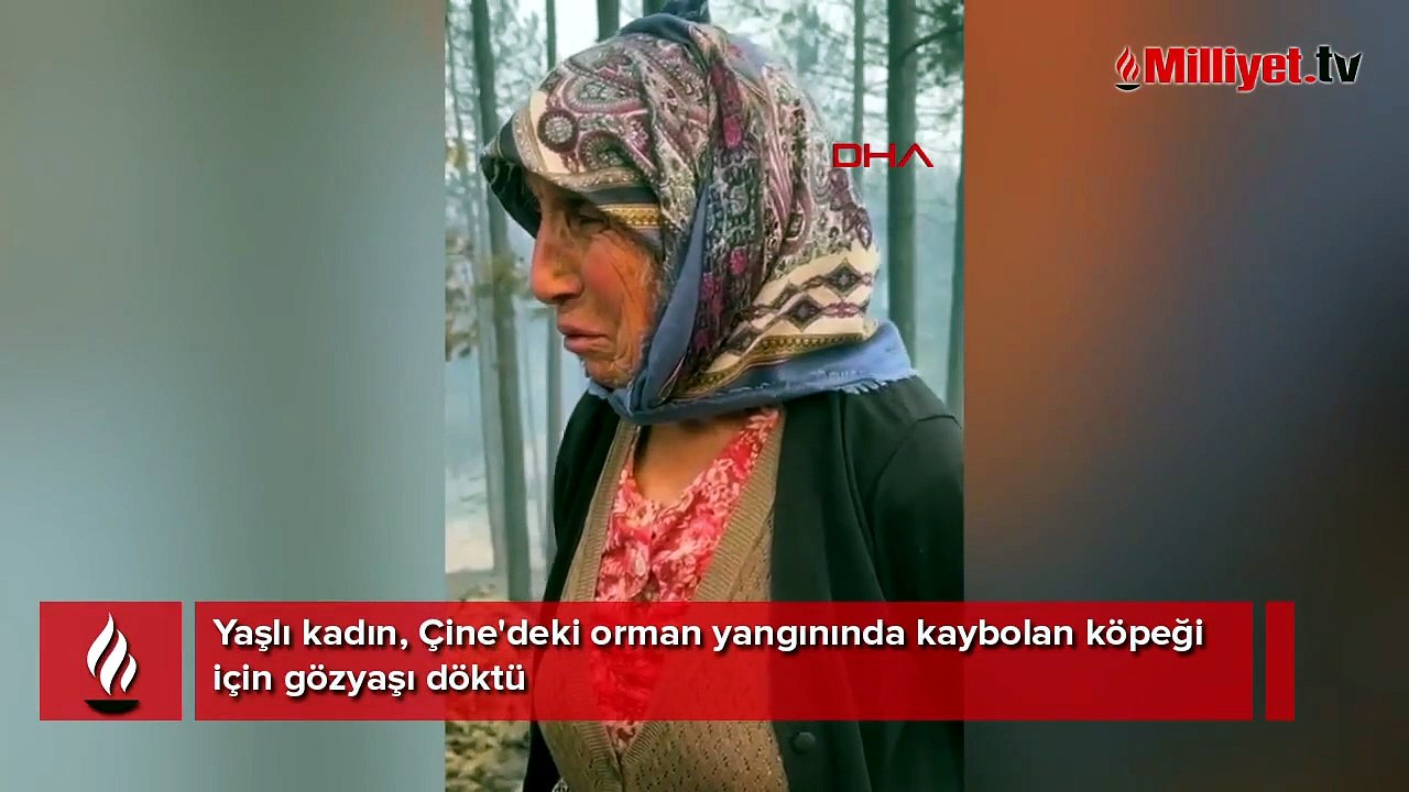 Çine'deki orman yangınında kaybolan köpeği için gözyaşı döktü