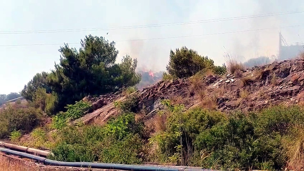 Piombino, l'incendio di sterpaglie alla Jsw
