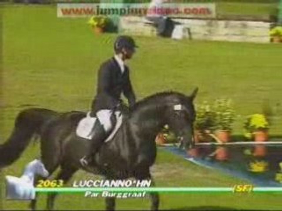 Saut d'obstacles