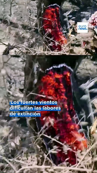 Grecia lucha contra los incendios: el fuego en Creta sigue fuera de control y amenaza nuevas zonas