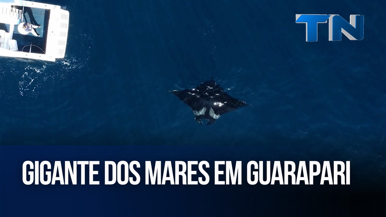 Gigante dos mares em Guarapari