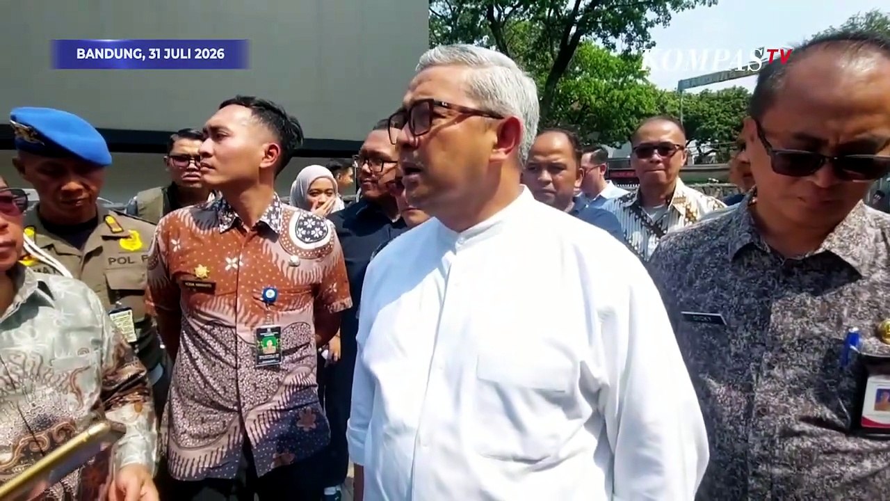 Emosi! Wali Kota Bandung Ngamuk, Pohon Mahoni Depan Lapangan Padel Ditebang Secara Ilegal