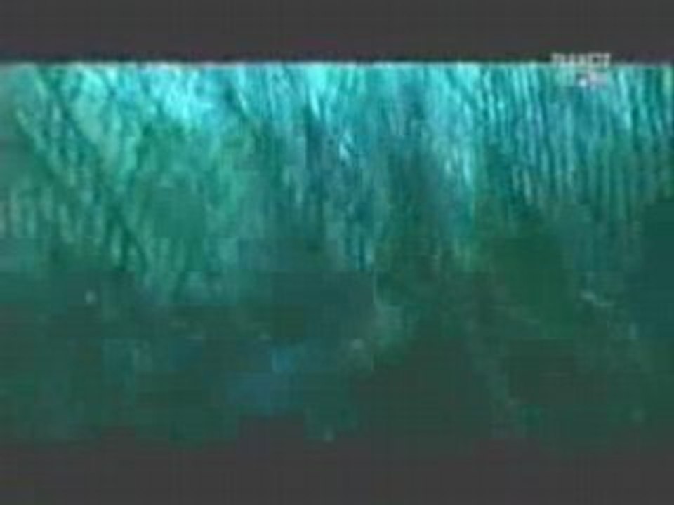 Les hommes lezards reptiliens 2