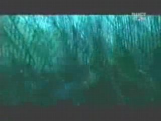 Les hommes lezards reptiliens 2