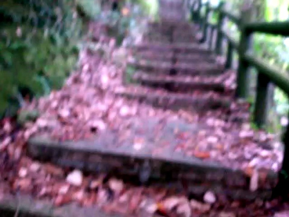 260731新埔蓮華山古道群-03