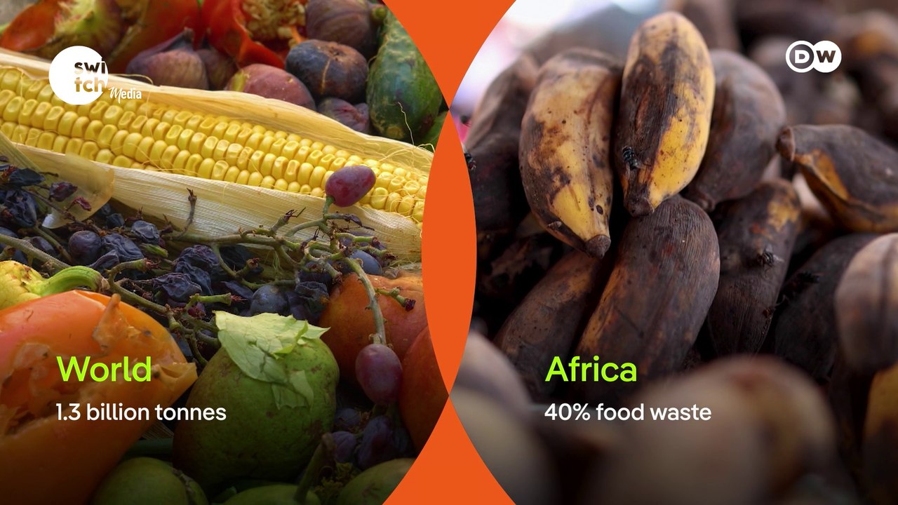 The fight against food waste in Uganda || DW's Eco Africa