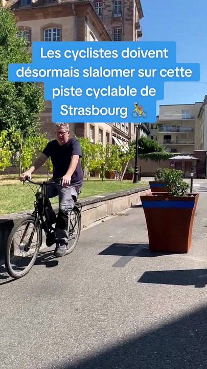 Pourquoi quatre pots de fleurs sont posés au milieu de cette piste cyclable à Strasbourg