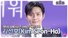 김선호, 현실이 더 잘생겼다… '이 미모도 통역이 되나요?'(‘제5회 청룡시리즈 어워즈’ 레드카펫)