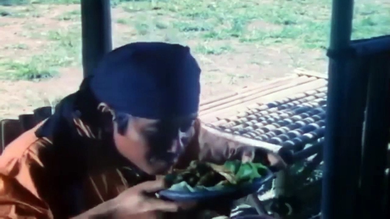 Penantang dari Gunung Naga (1990)
