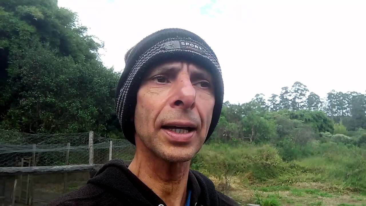 Assunto Vovo baiana!