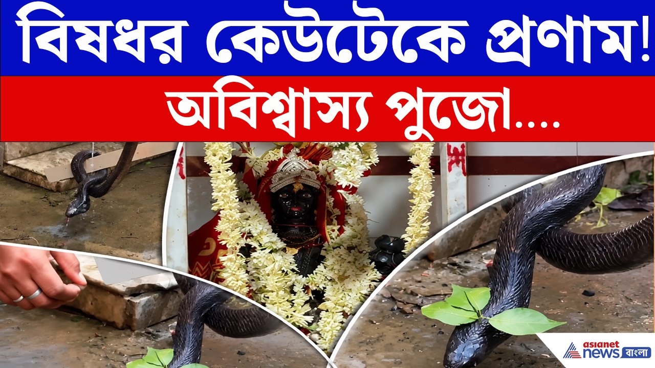 Bardhaman News : জ্যান্ত কেউটেকে দেবী মেনে পুজো