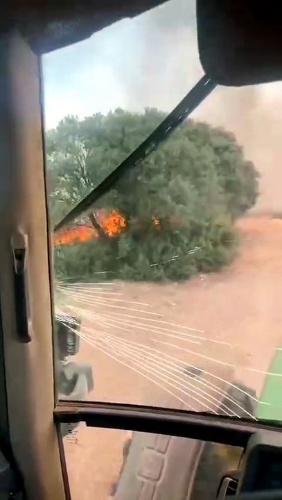 Incendio forestal en El Bachiller