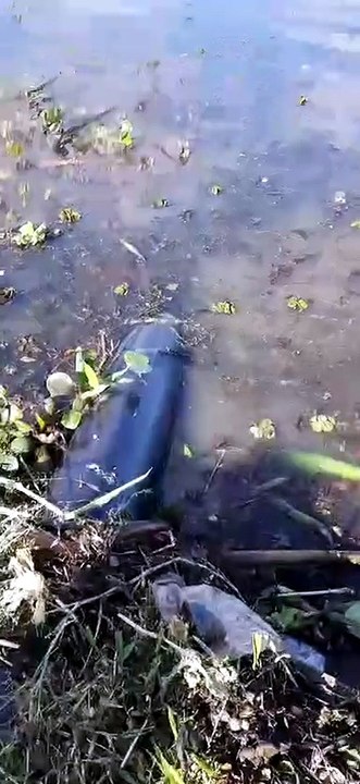 Sistema de Bypass de Estaciones de Bombeo de la red cloacal de Encarnación