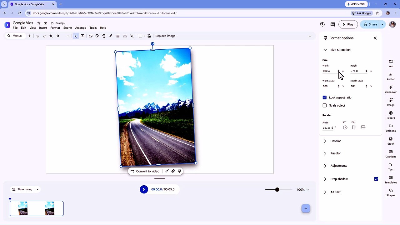 Google Vids 55 Picture Format Options