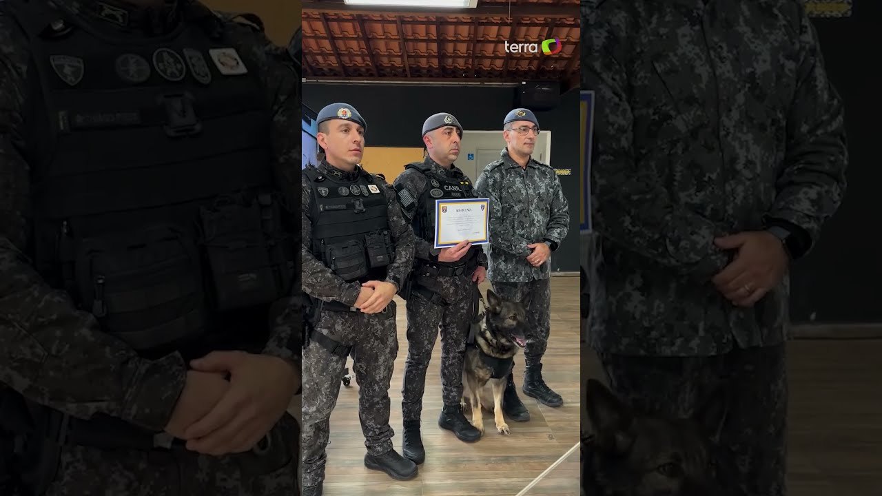 Cadela se aposenta da PM após sete anos de serviço e recebe homenagem: 'Vai descansar' #shorts