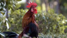 Dijital Esaret Tek Parça İzle