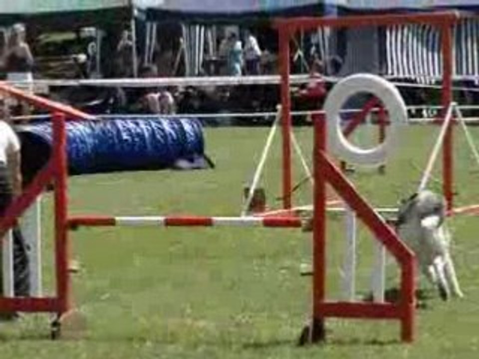 29 juin Gimel Amaruk Standard 2