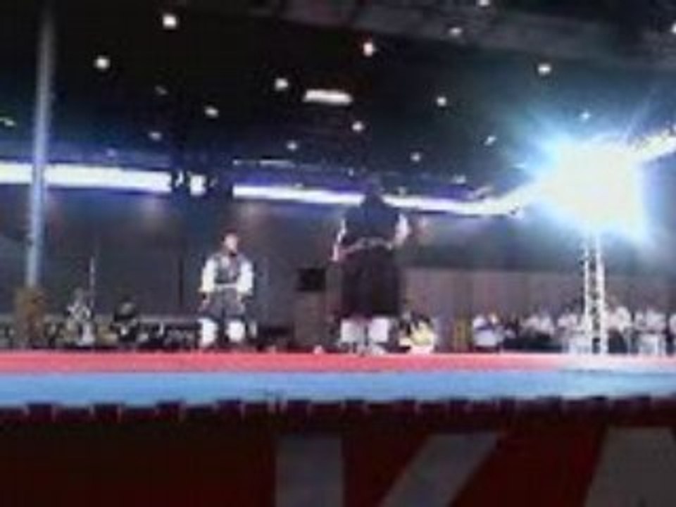 Démonstration art martiaux Japan expo 2008 (7)