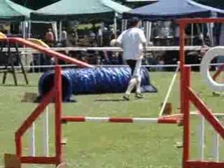 29 juin Gimel Sky Standard 2