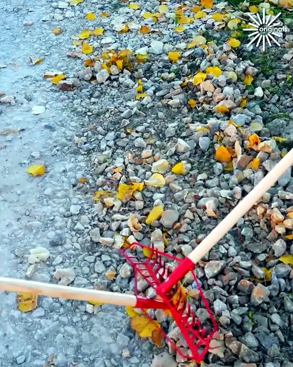 Check out these tips and tricks for everyone!🥰