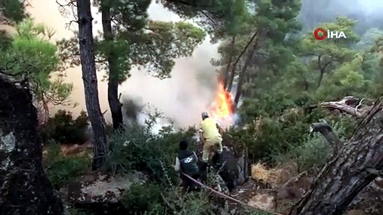 Çine'deki orman yangınında alevlere karşı omuz omuza mücadele
