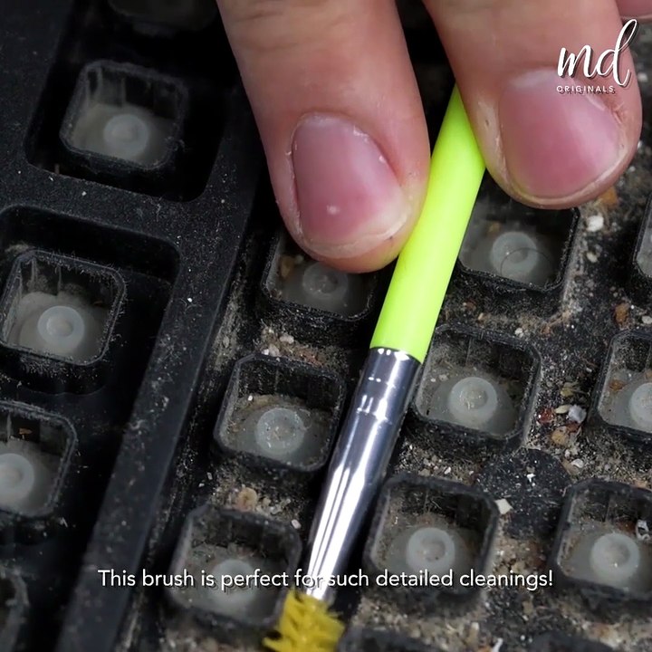 Deep cleaning keyboard for the first time in 5 YEARS!