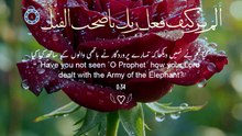 Islam s power
