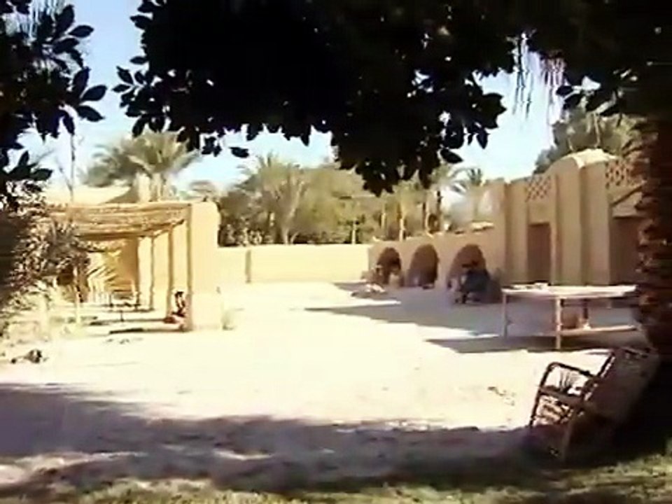 إفيلين