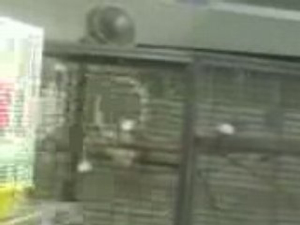 MOV00207