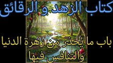 الجامع لما في الصحيحين (211)