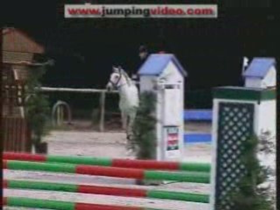 saut d'obstacle Ronaldo étalon Lusitanien et Morgan