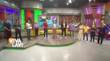 Vivalavi - 31 de julio del 2026