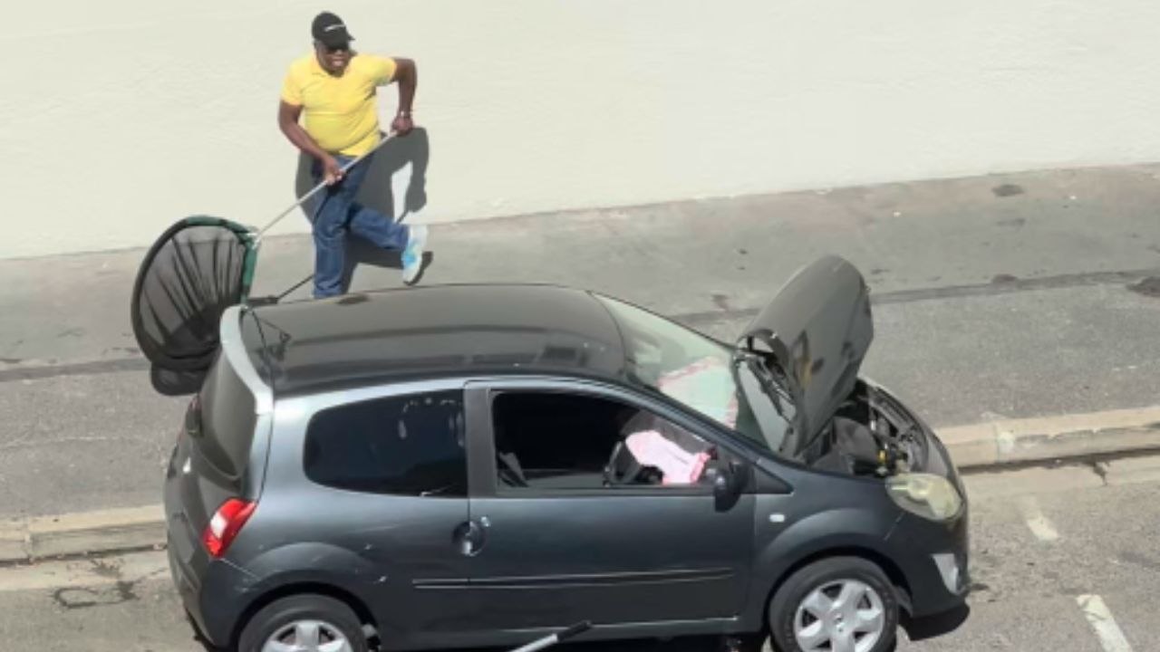 Urgent Rescue Efforts as Otter Escapes from Under Vehicle