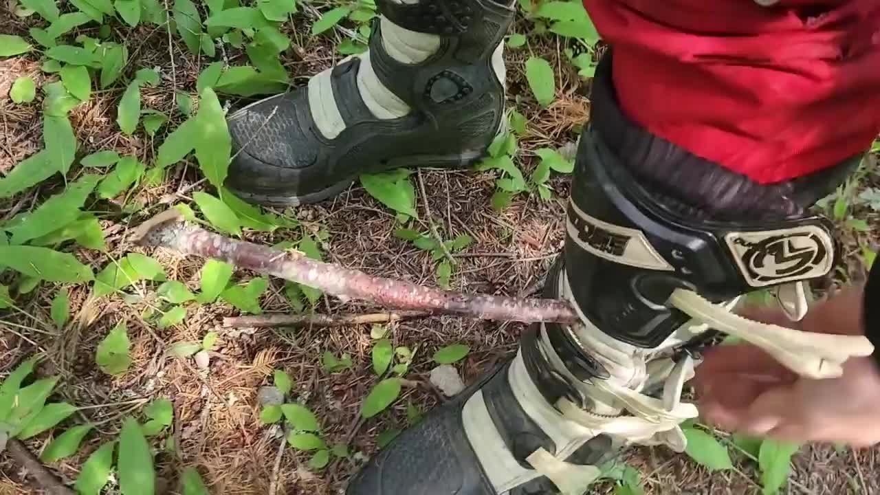Tree Branch Pierces Rider's Boot