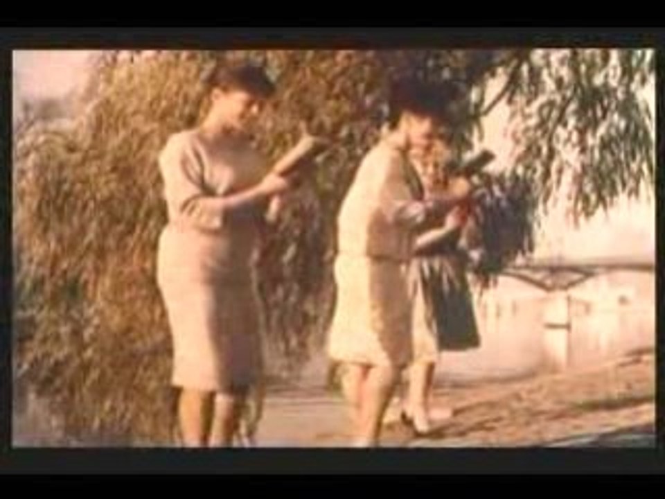 Distel Sacha -  Bossa nova sur les quais de la Seine