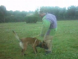 entrainement Ring Cidney à 12 mois