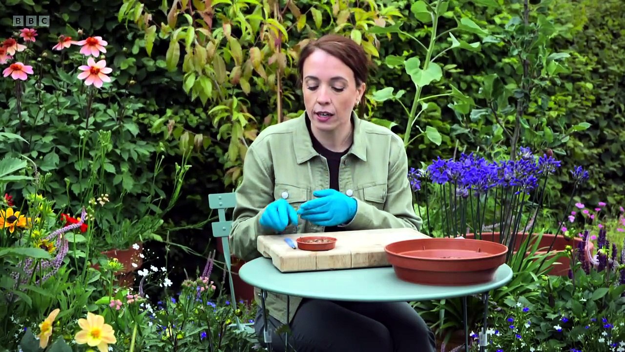 Beechgrove Garden S48E18