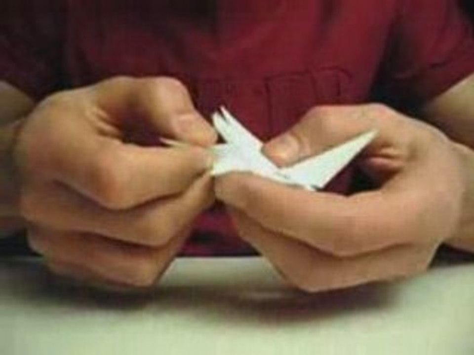 origami: tartaruga