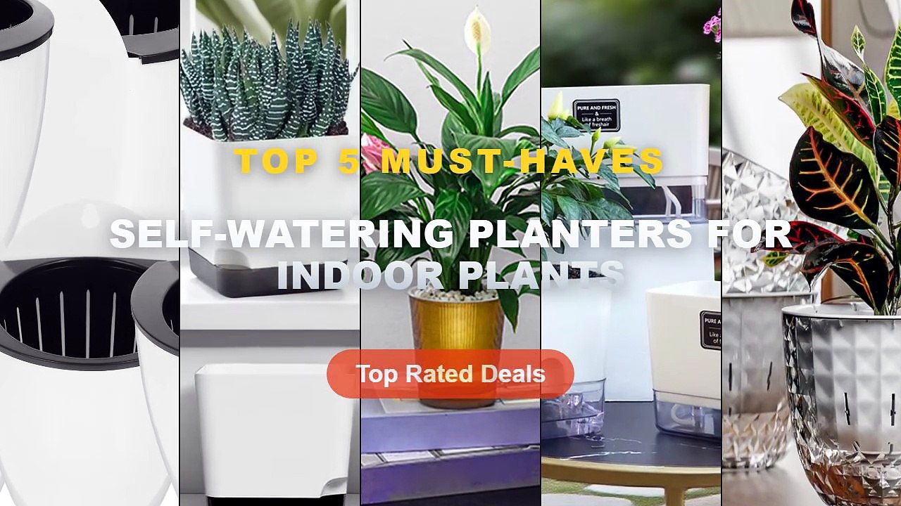 Ultimate Guide to the Best Self Watering Planters For Indoor Plants