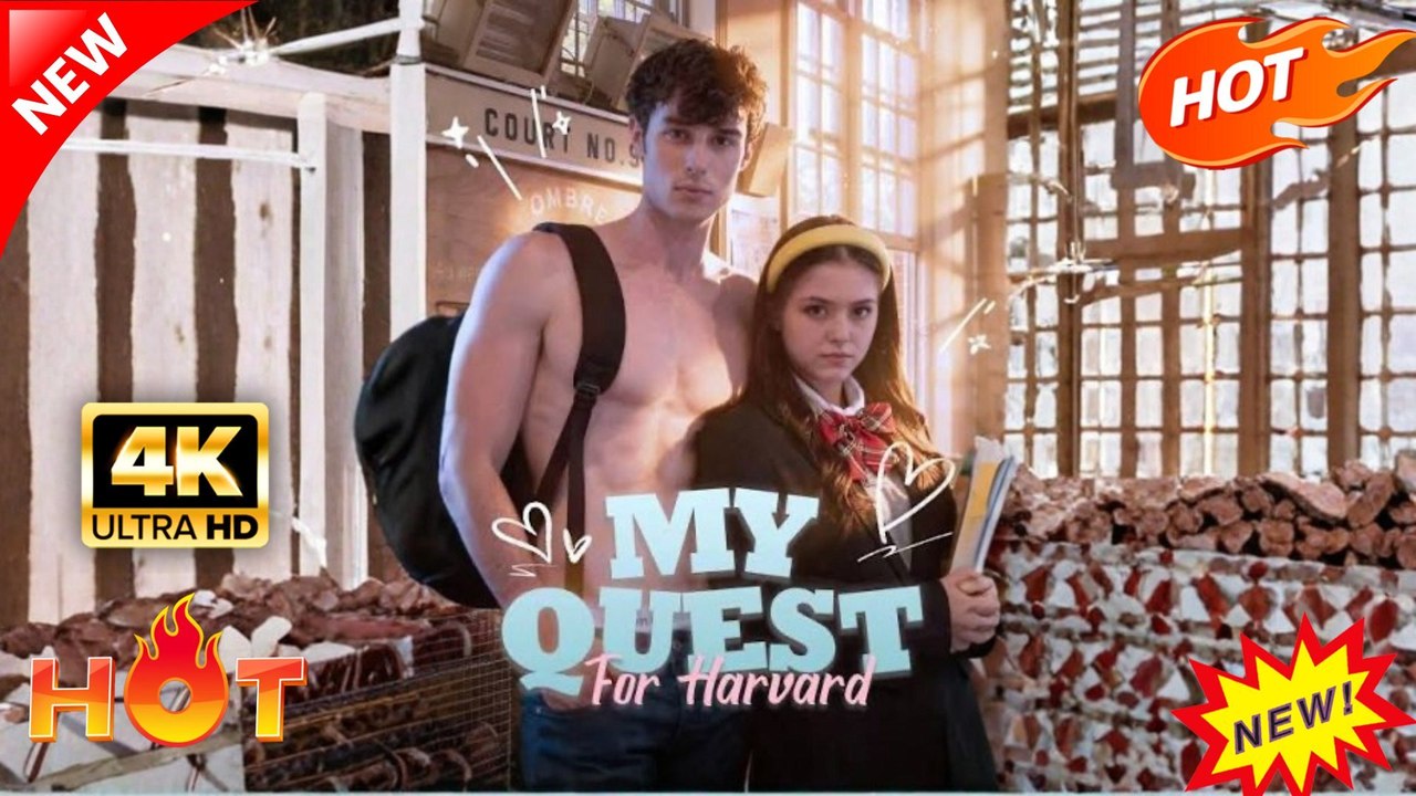My quest for Harvard