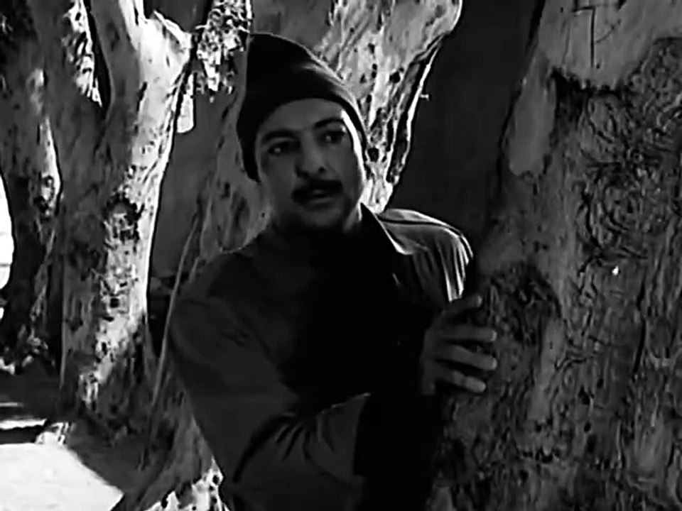 لا وقت للحب 1963