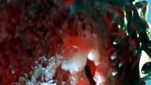 10 音波怪獣フレニックス