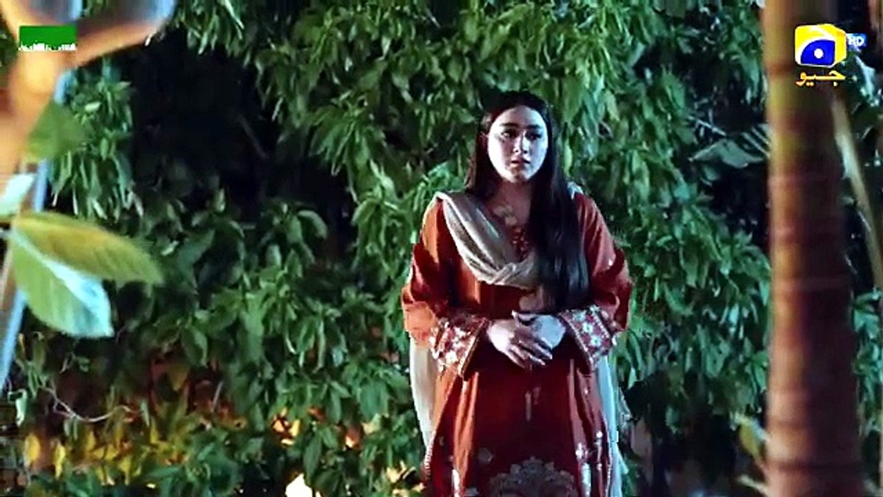 Muhafiz episode 28