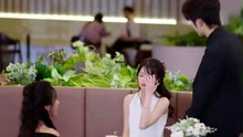 高明＆杨帆 - 不原谅不回头，我离婚独美