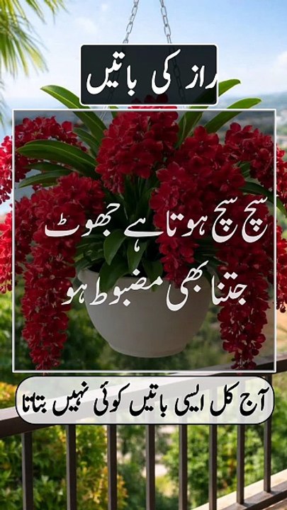 How to get Islamic question
