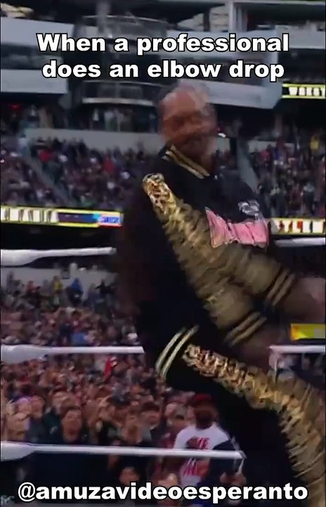 When a professional does an elbow drop VS ME #meme #humour #humor