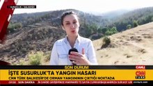 CNN TÜRK bölgede: İŞTE SUSURLUK'TA YANGIN HASARI