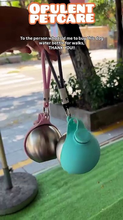 Never-Thirsty Travels: Portable Dog Water Bottle – No-Mess On-the-Go Hydration