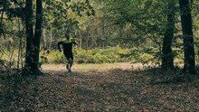 Zombie reverse